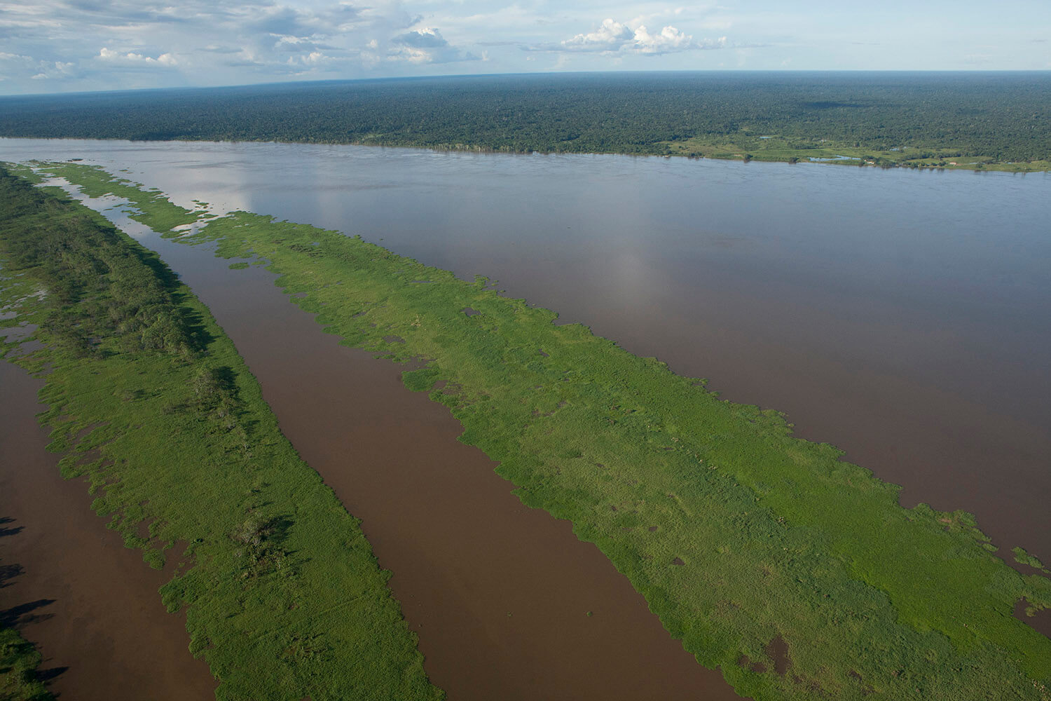 6AMAZONAS slider 15_MG_4424.jpg